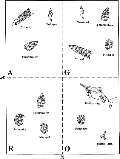 fossils and relative dating worksheet answers