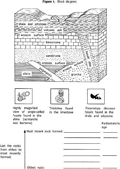 fossils and relative dating worksheet answers
